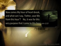 Perfected Through Suffering